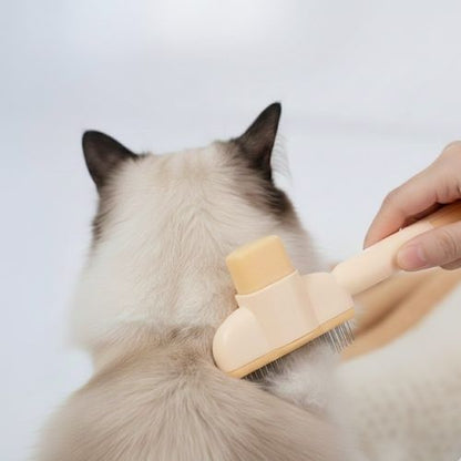 Groomer Brush - PurePath™